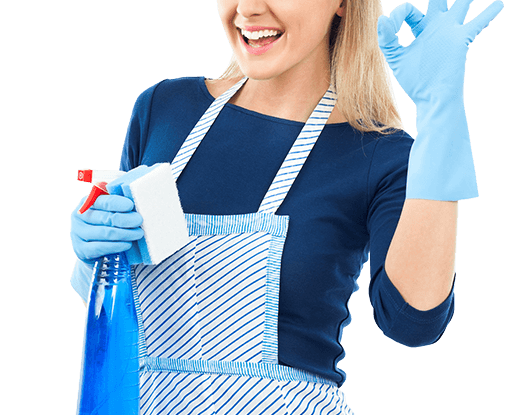 Professional Cleaning Services
