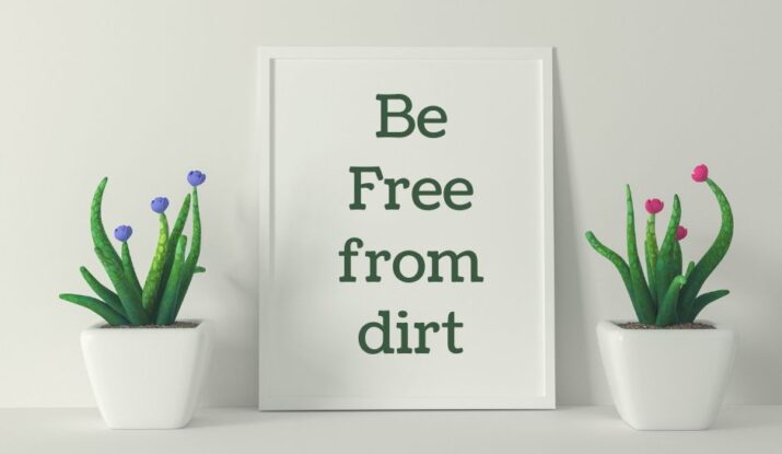 The Proven Method to Achieve Premier Residential Cleaning Services In Toronto