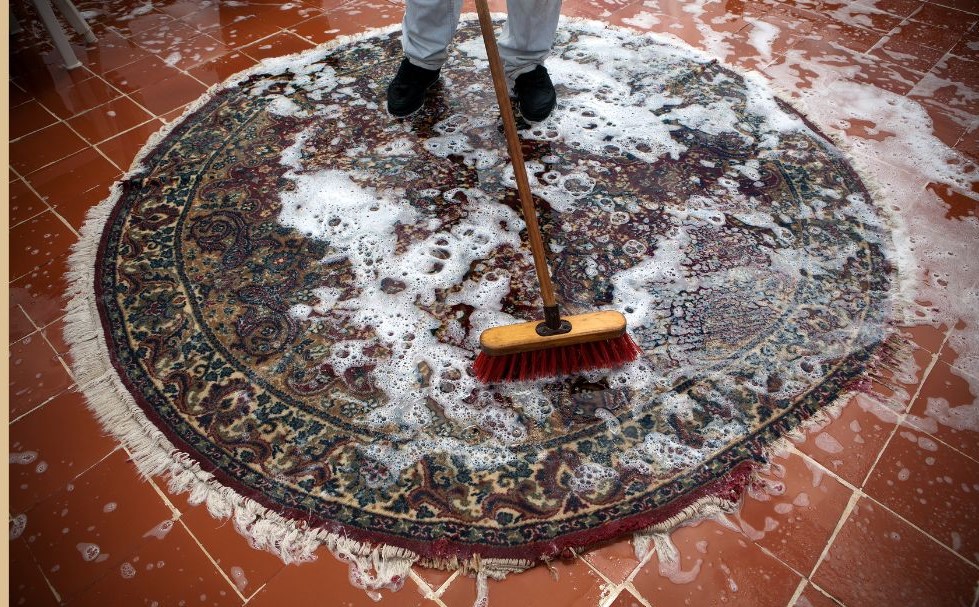 Carpet Cleaning Services in Toronto, Pricing and Costs