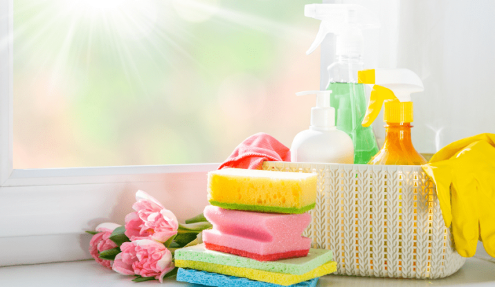 Dos-Pro's Ultimate Checklist for a Thorough Spring Cleaning
